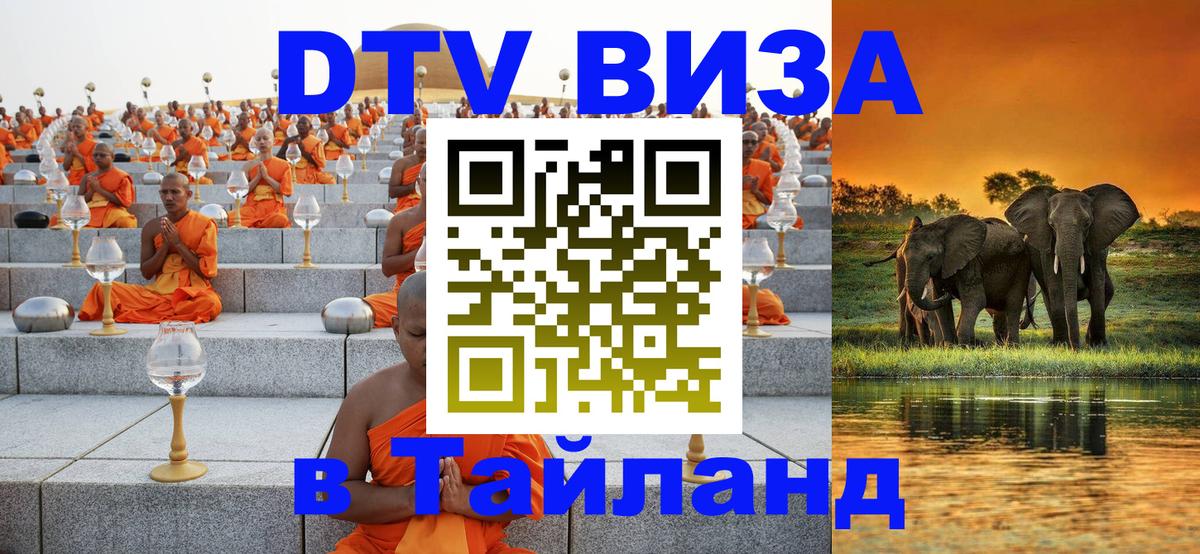 Оформление DTV визы под ключ: стоимость и тарифы, только загранпаспорт - 05.12.2025 